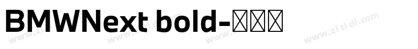 BMWNext bold字体转换 BMWNext bold字体转换